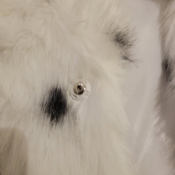 Jacket - Picture 9 of 9